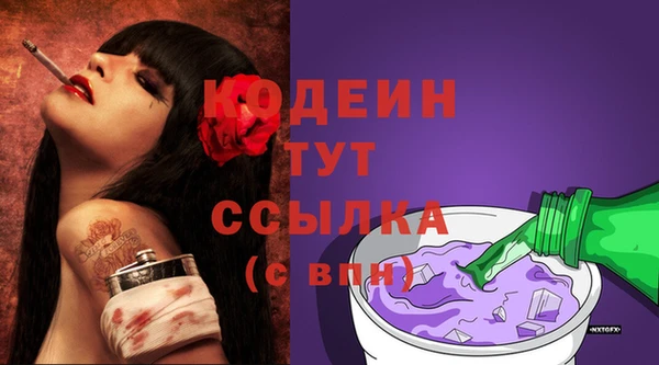 эйфоретик Няндома