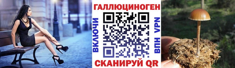 цены наркотик  Первоуральск  площадка наркотические препараты  Галлюциногенные грибы ЛСД 